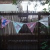 Rose-Bunting
